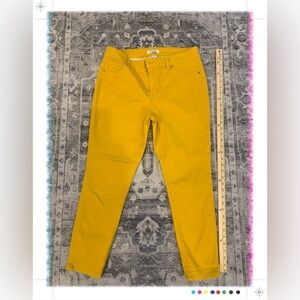 d.jeans, size 14, Bold Golden, NNT